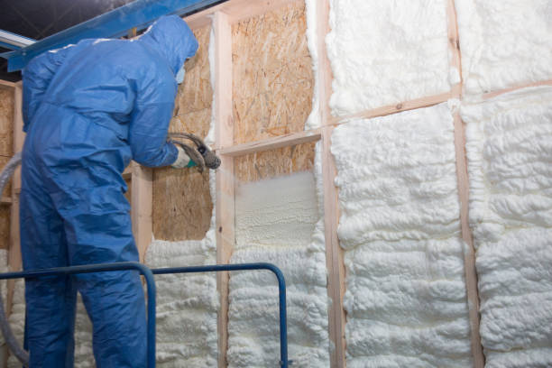 Trusted Burlington, KS Insulation Services Experts